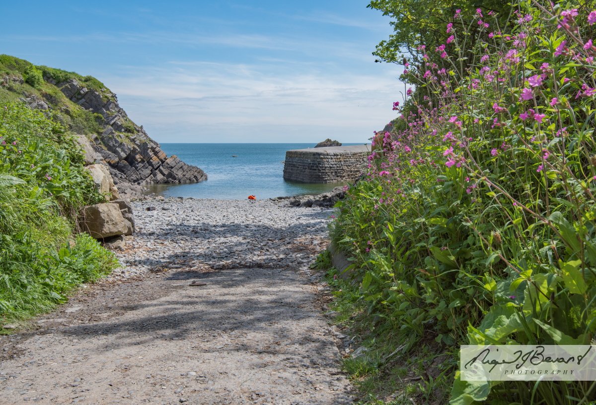 Stackpole Quay #pembrokeshire