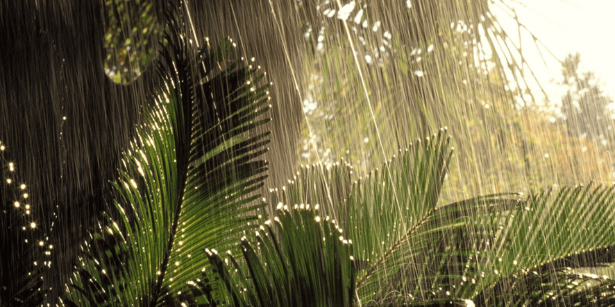 GeolegCAT's tweet photo. 🔴Diuen que no plou mai a gust de tothom, doncs.....
⛈️El CARNIÀ, aquella vegada que va ploure molt durant 2 milions d’anys. Ens acompanyeu en aquesta història de les #Geofrikades? https://t.co/Ji5pdBsPPV
