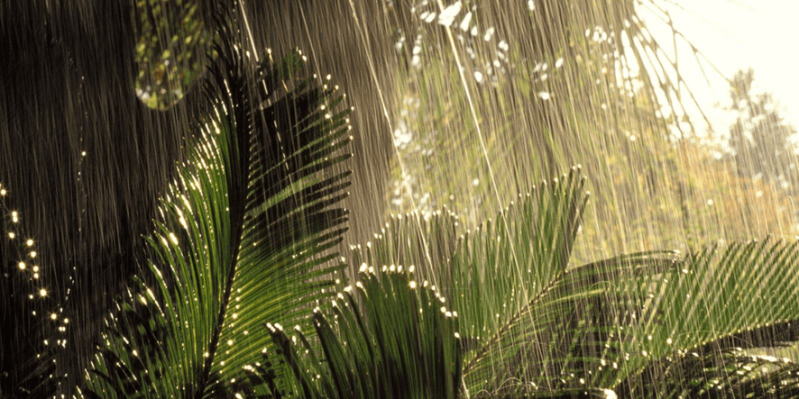 🔴Diuen que no plou mai a gust de tothom, doncs..... ⛈️El CARNIÀ, aquella vegada que va ploure molt durant 2 milions d’anys. Ens acompanyeu en aquesta història de les #Geofrikades?