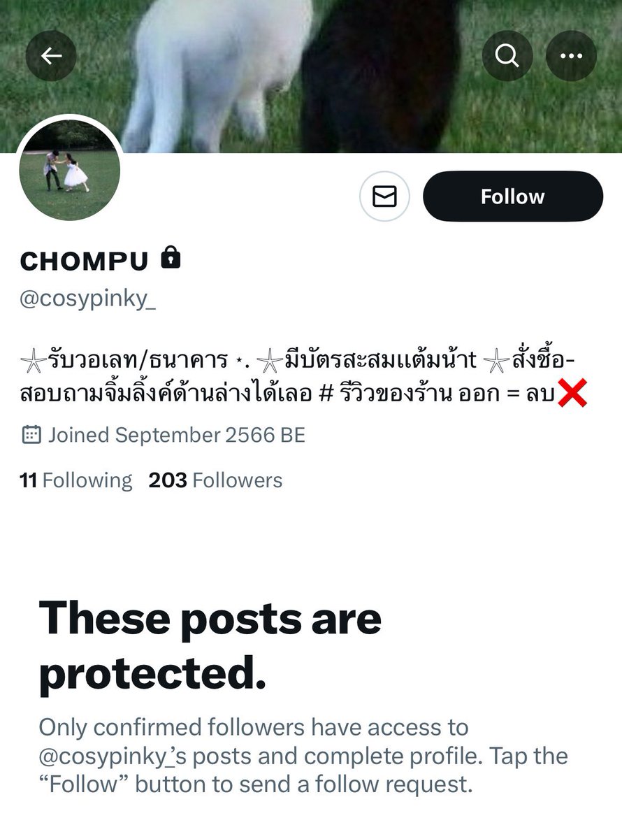 dustydytus's tweet photo. 5. ชื่อแอคเคาท์และชื่อไลน์คือ chompu เหมือนกัน แท็กรีวิวของแอค dacianoy #รีของนันทิยา กับชื่อบัญชีธนาคารก็เหมือนกัน จึงสรุปได้ว่าเป็นคนเดียวกัน โกงเอง ไม่ได้ไปซื้อเมลมาอีกทีเหมือนที่แอบอ้าง 
scb เสาร์ น้อยนอนเมือง 
5312661445

true wallet 0635805337 
นันทิยา สมบูรณ์

#ขายแอคทวิต https://t.co/25LVv5LGBZ
