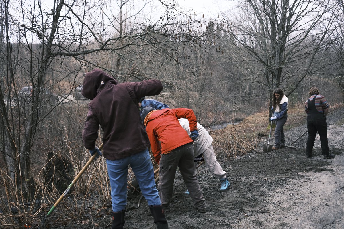 sterlingcollege's tweet photo. A huge thank you to all of our #AcceptedStudents for visiting and helping with our All-College Service Day! They weeded invasive species from a creek bed and prevented future erosion into a nearby stream. #EnvironmentalThinkingAndAction #EnvironmentalEducation #CampusVolunteers https://t.co/8fQofhHwI0