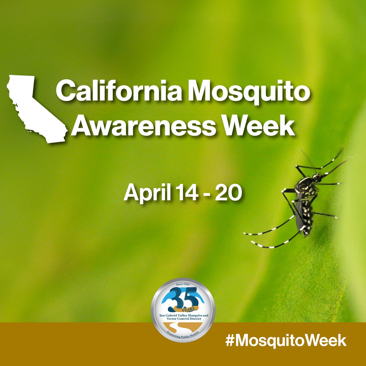 🦟 It's California Mosquito Awareness Week!
Mosquitoes are the world's deadliest animal, causing millions of deaths each year through diseases like malaria, dengue, and Zika.

Stay informed, stay safe!

MosquitoAwareness.org

#LaPuente #MosquitoWeek #SGVmosquito35th #community
