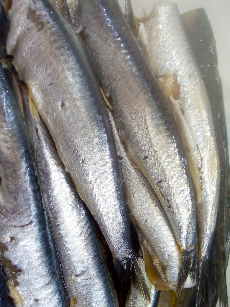 Ibai Ruiz de Aretxabaleta tweet media