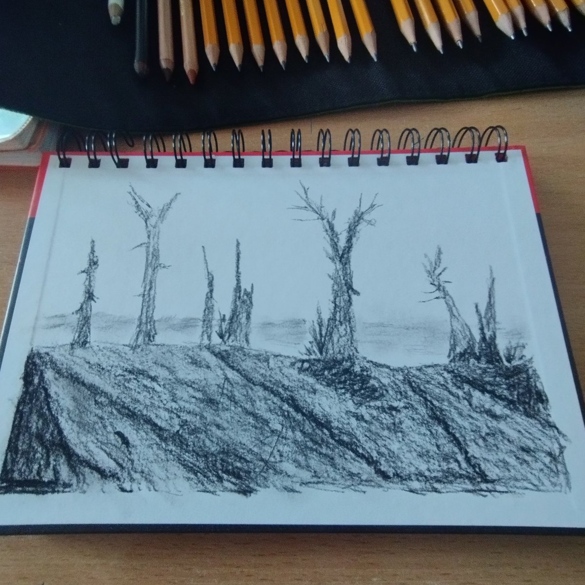 WW1 trench 
#trench #ww1 #worldwar #greatwar #art #sketch #sketchart #charcoal