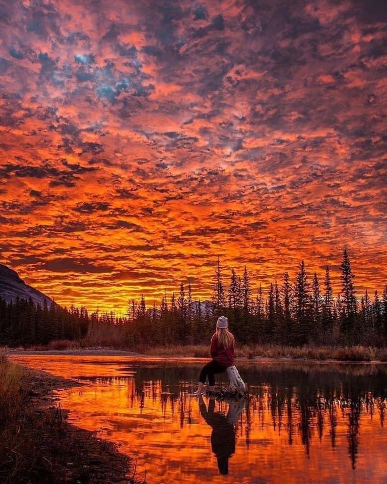 Sunrise over Banff National Park, Alberta, Canada.. One of the most phenomenal color explosions to witness.

📸 mir.gray [IG]