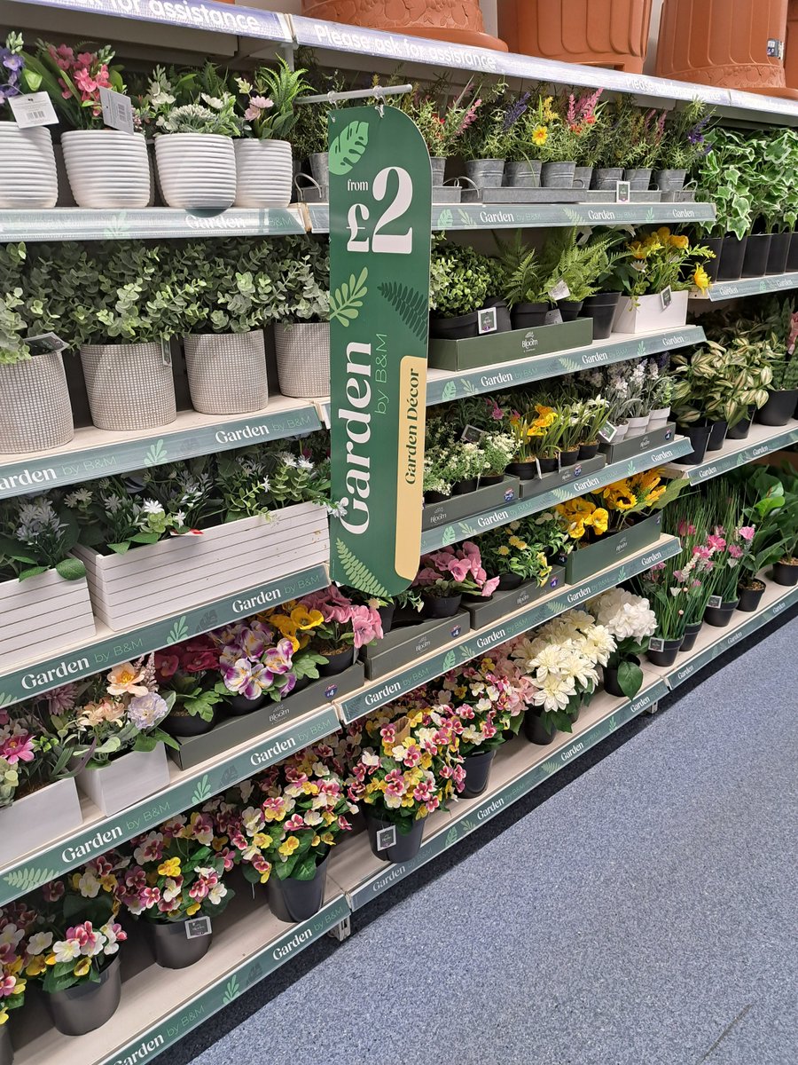 Add an extra burst of greenery to your home with our gorgeous range of artificial foliage🌻! We've got loads of different styles, types, colours and size – available from just £2☘️! Who else loves adding some flowers to their home💐?!