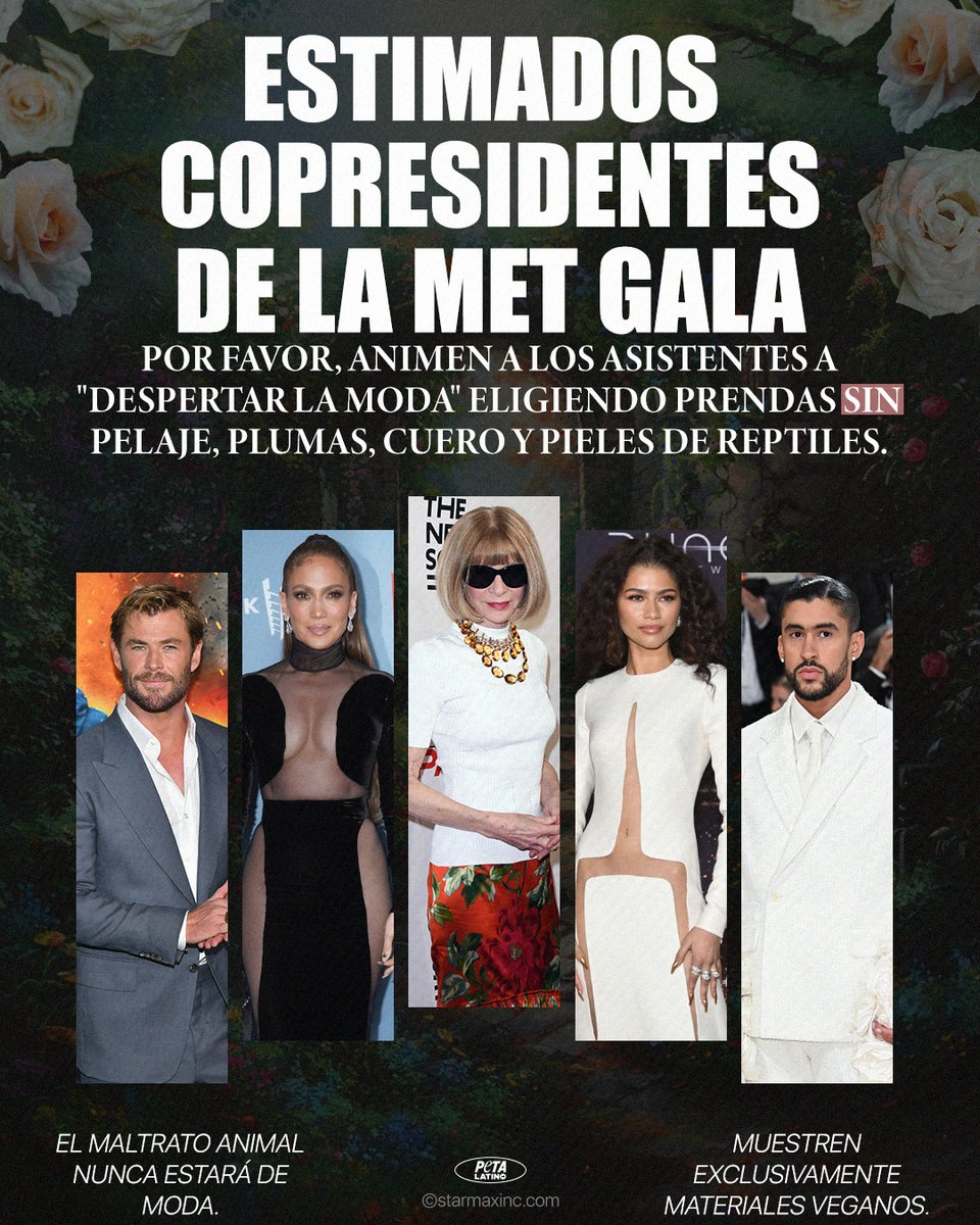 Les enviamos una carta a los copresidentes de la #MetGala 2024, @chrishemsworth  @JLo  @Zendaya  @sanbenito y #AnnaWintour, pidiéndoles que animen a los asistentes a usar prendas veganas, para proteger a los animales y a nuestro planeta ✨