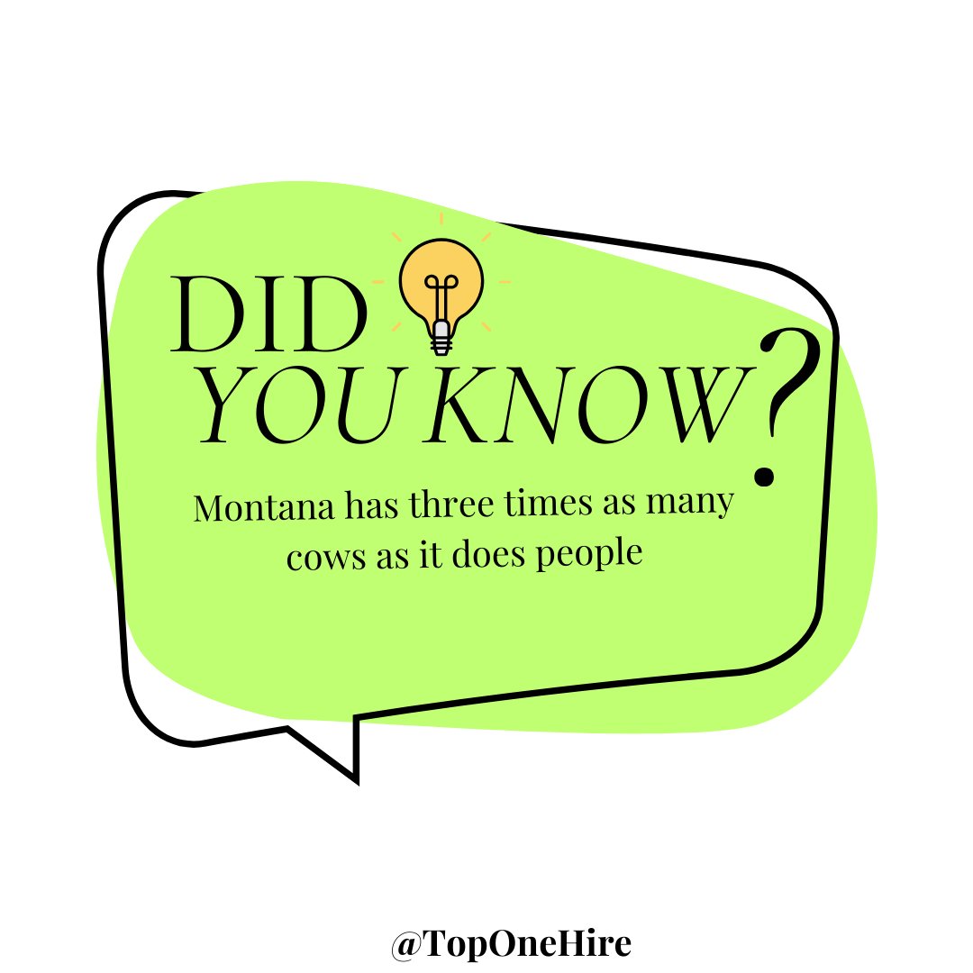 That's a whole lot of cows! 🐄

#FunFactFriday #TopOneHire #DidYouKnow