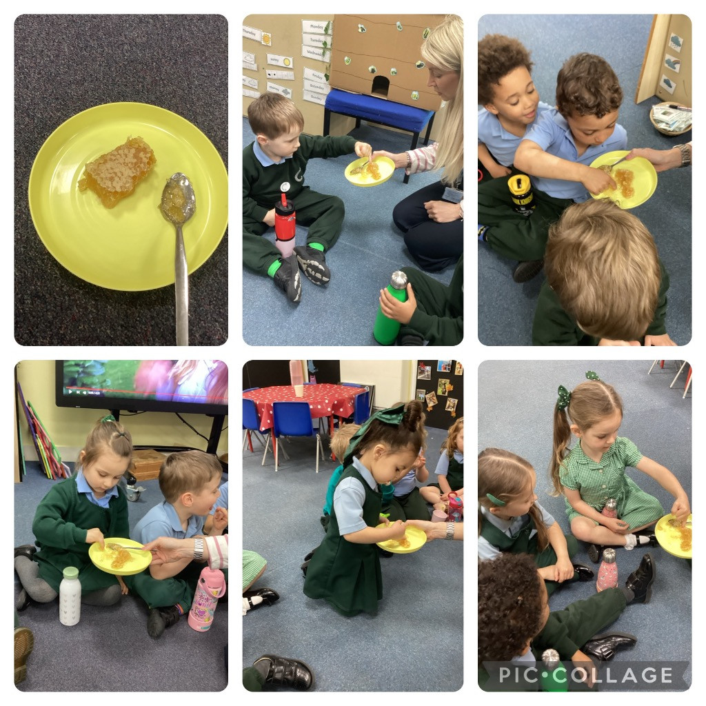 The Croft at Tranby tweet media