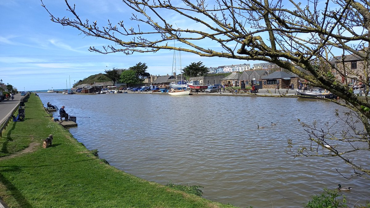 Patient anglers, an inquisitive dog, bobbing ducks and  tranquil canal waters, all under a welcome blue sky. Beautiful Bude today - my favourite piece of Cornwall. 

grahamsgardenbuddies.wordpress.com
