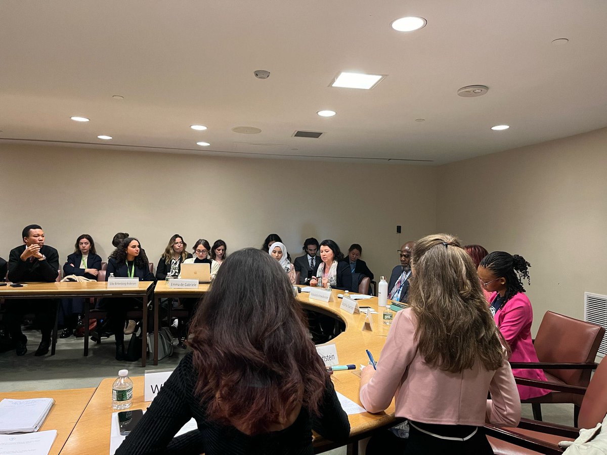 Day 3⃣ of the ECOSOC #YouthForum 2024! Today the Youth Delegates 🇩🇰🇭🇺 and🇲🇹of hosted a side event on empowering young persons, especially young women, in conflicts zones. The event explored important aspects of youth engagement, peacebuilding and security. #GlobalGoals