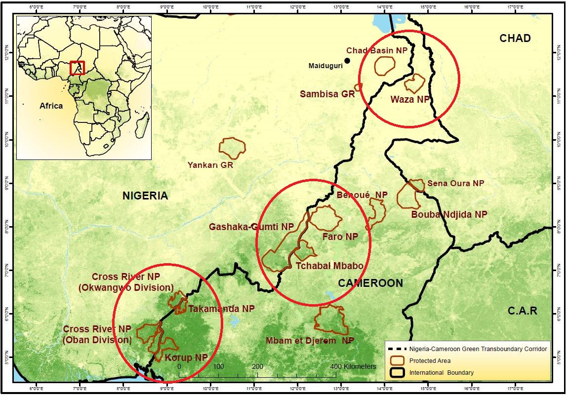 ANI_Foundation's tweet photo. Today, ANI was excited to attend the Roundtable on the Implementation of the Nigeria-Cameroon Transboundary Cooperation Agreement for Biodiversity Conservation. Discussions on this agreement started in 2008. Over 16 years ago! It will facilitate the creation of transboundary protected areas along the entire international border linking national parks together namely:

- Cross River/Korup/Takamanda
-Gashaka Gumti/Faro/Tchabal Mbabo
-Waza/Chad Basin
 
See the map attached. 

The agreement also enables transboundary collaboration to combat the illegal trade in wildlife. 

The historic agreement will be signed at 10am tomorrow - 19th of April, 2024 by the Ministers of Environment from both countries. 

@BalarabeAbbas_ @SalakoIziaq @MayeniJones @nyuprimatology @AWF_Official @WWF_Africa @tusk_org @EPIAfrica @Nature_Africa @BirdLifeAfrica @OfficialZSL @TRAFFIC_WLTrade @EIA_News