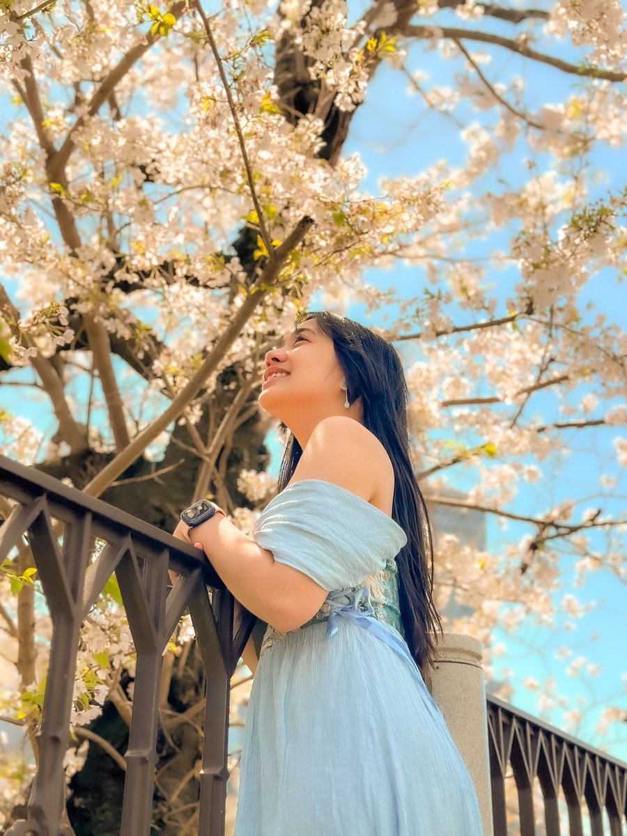 DaleNamion's tweet photo. Sakura season🌸 https://t.co/WUISoTMZIG