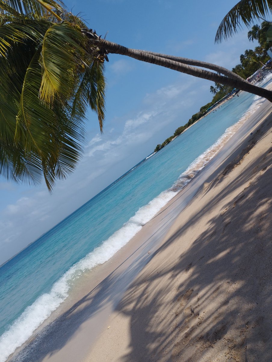 SeijasWinder's tweet photo. Salimos a trabajar y terminamos en la playa🤭😄🏖️🌊 https://t.co/gfwfiKT5ik