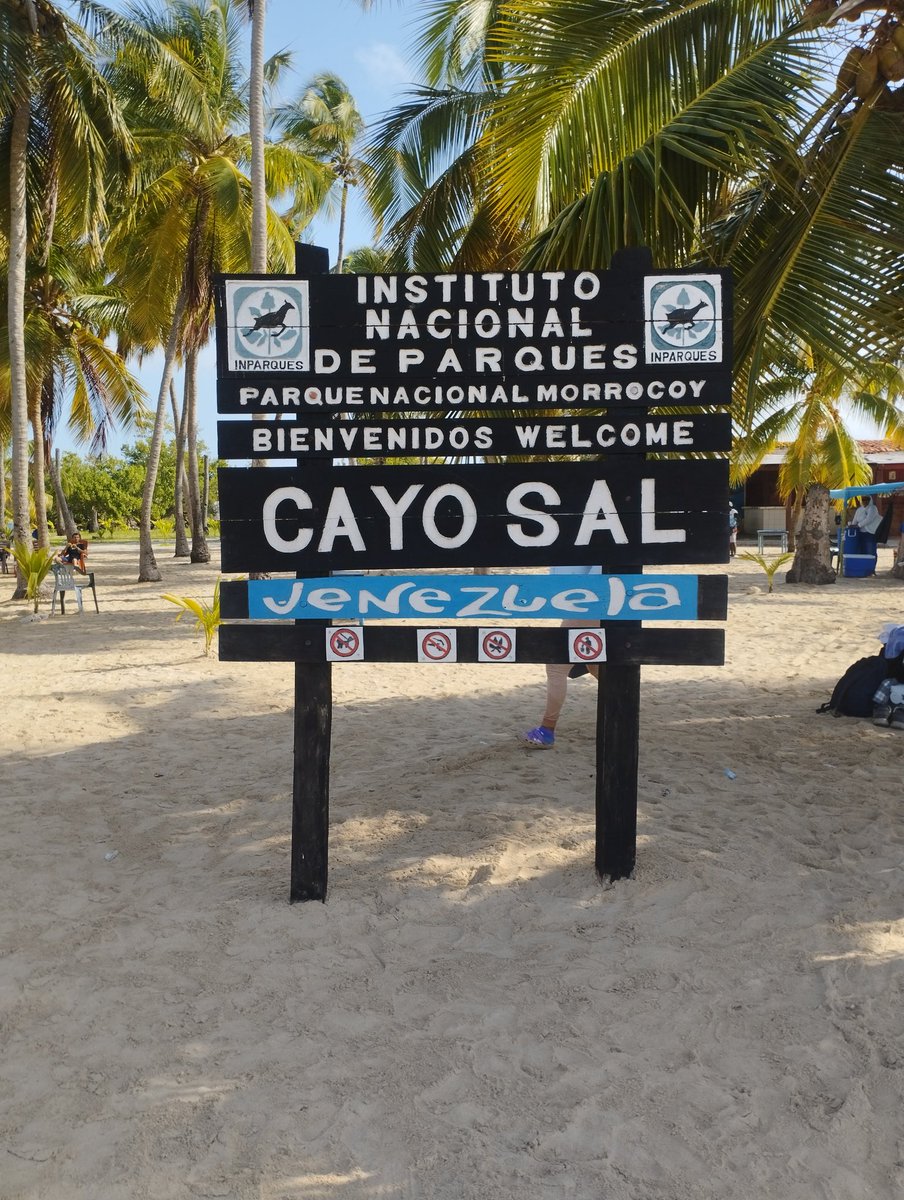 SeijasWinder's tweet photo. Salimos a trabajar y terminamos en la playa🤭😄🏖️🌊 https://t.co/gfwfiKT5ik