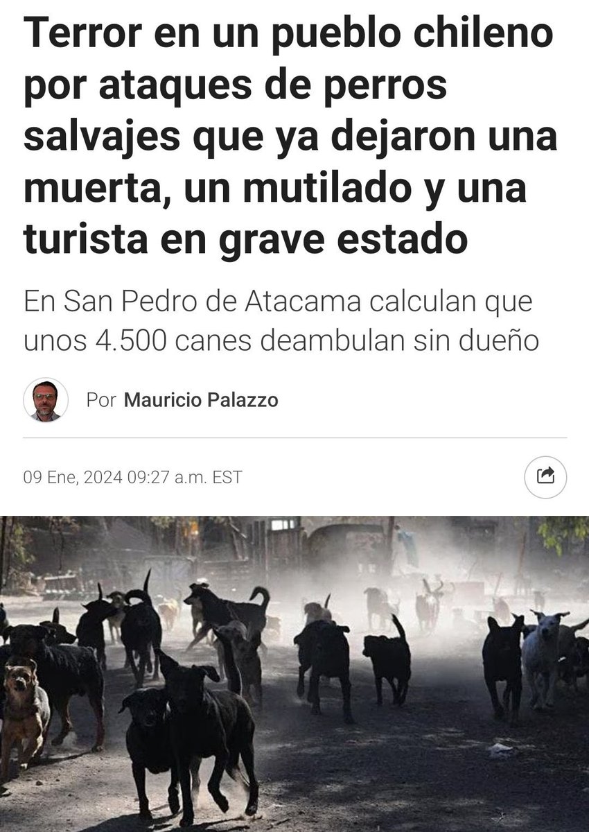 Claudio Hernández tweet media
