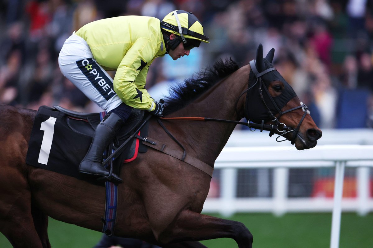 ANNO POWER and @JohnnyBurke2 round off a fantastic two days @CheltenhamRaces April Meeting. It was winner no. 3️⃣ for the team in the concluding Mares' Bumper for Pat and Edward Dolan-Abrahams talented mare. Miss Goldfire, ridden by Lorcan Murtagh, also ran a superb race for