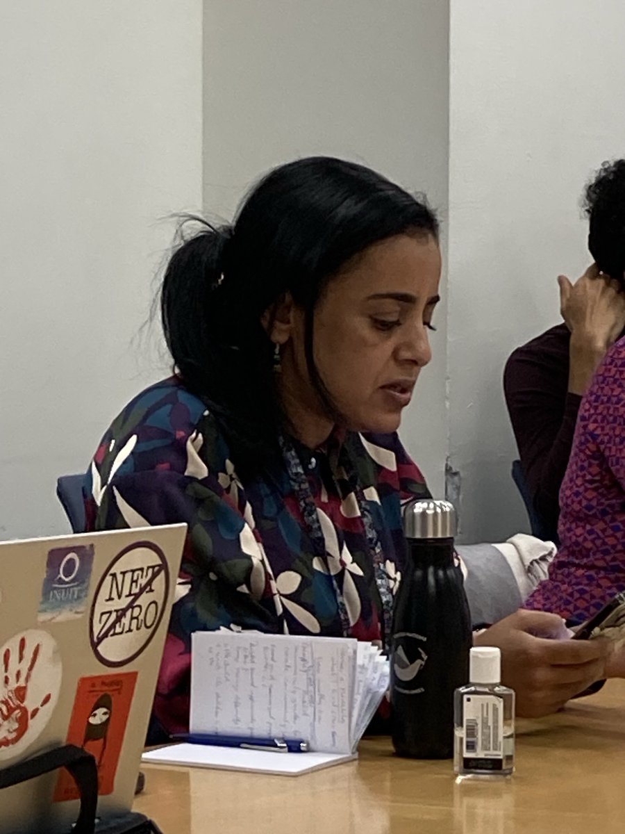 “The @WFP should support Indigenous-led programs on #foodsecurity and #FoodSovereignty” - @MAboubakrine Board Chair of @landislife #UNPFII2024 @tania_eulalia @Lcastanedaq @UN4Indigenous