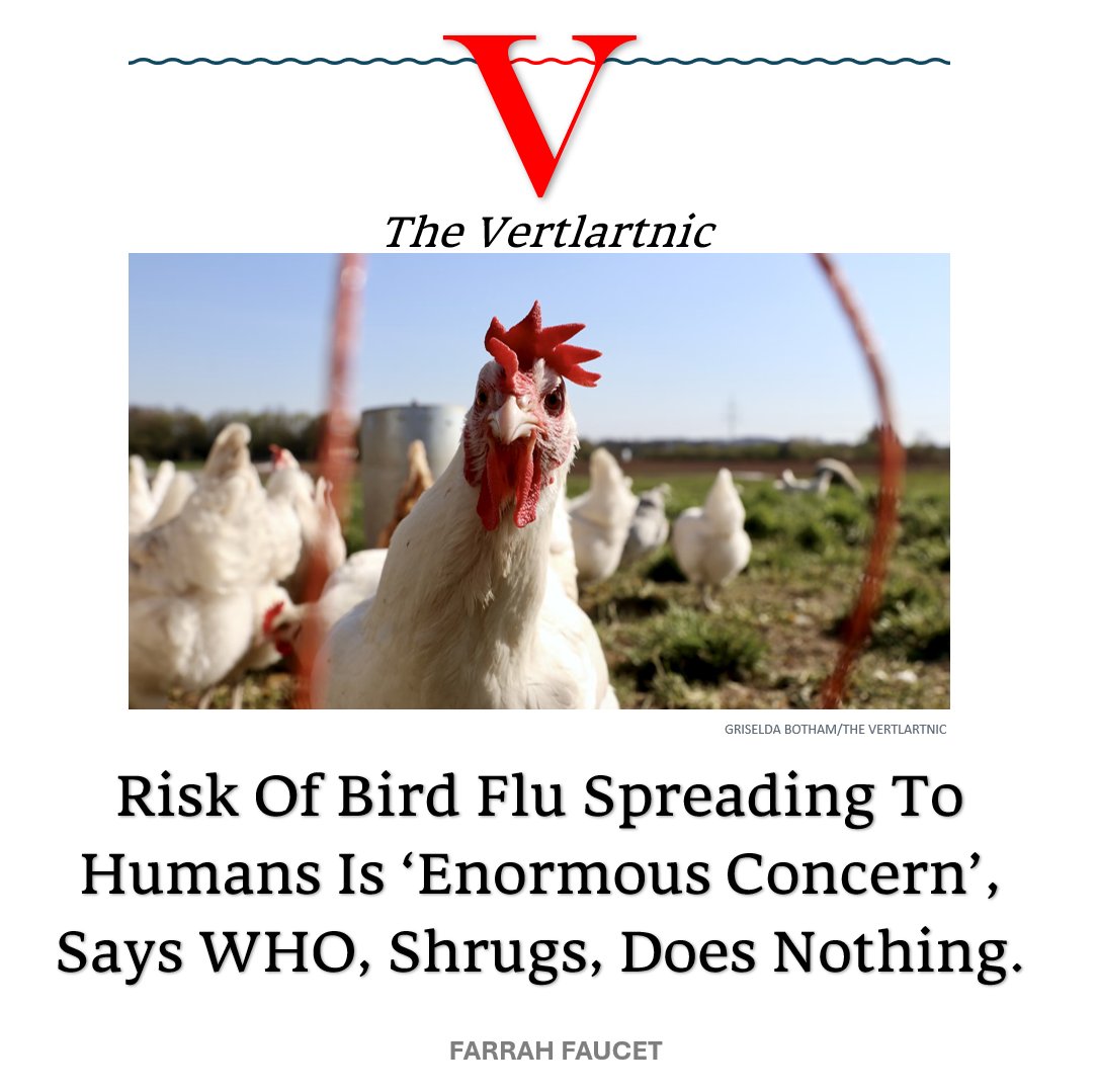 Risk Of Bird Flu Spreading To Humans Is ‘Enormous Concern’, Says WHO, Shrugs, Does Nothing.