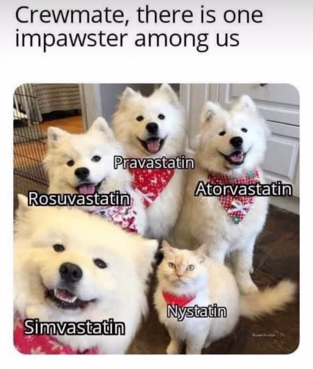 Cardiology humor at its finest 😂 
H/T <a href="/PPirlamarla_MD/">Preethi Pirlamarla MD</a>