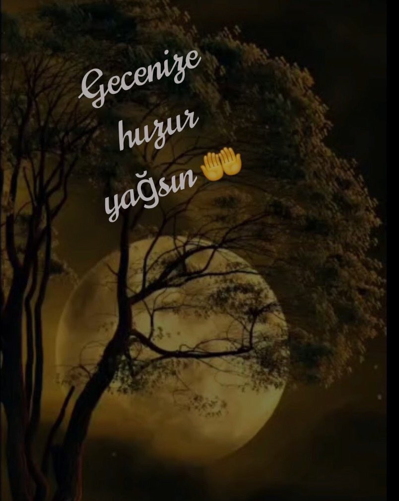 سلام علیکم 
Varsın bitmesin geceler
Düşümüz yok ki korkalım
Dört mevsim yanar bağrımız
Kışımız yok ki korkalım .
                       Abdurrahim Karakoç 

HAYIRLI GECELER HERKESE 💫