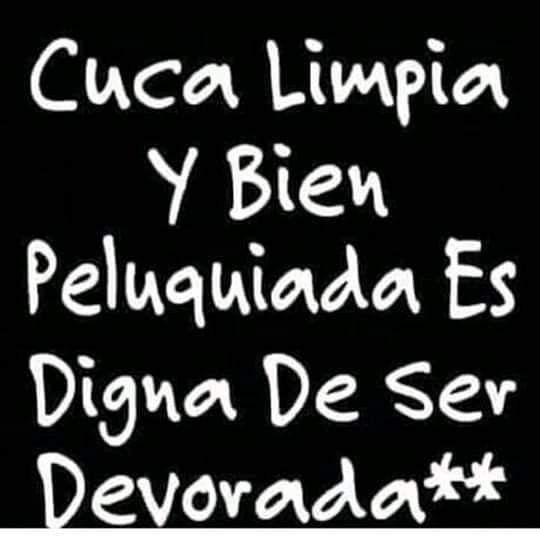 MargaritaSotox's tweet photo. Si o qué? https://t.co/cc7HQTAVkm