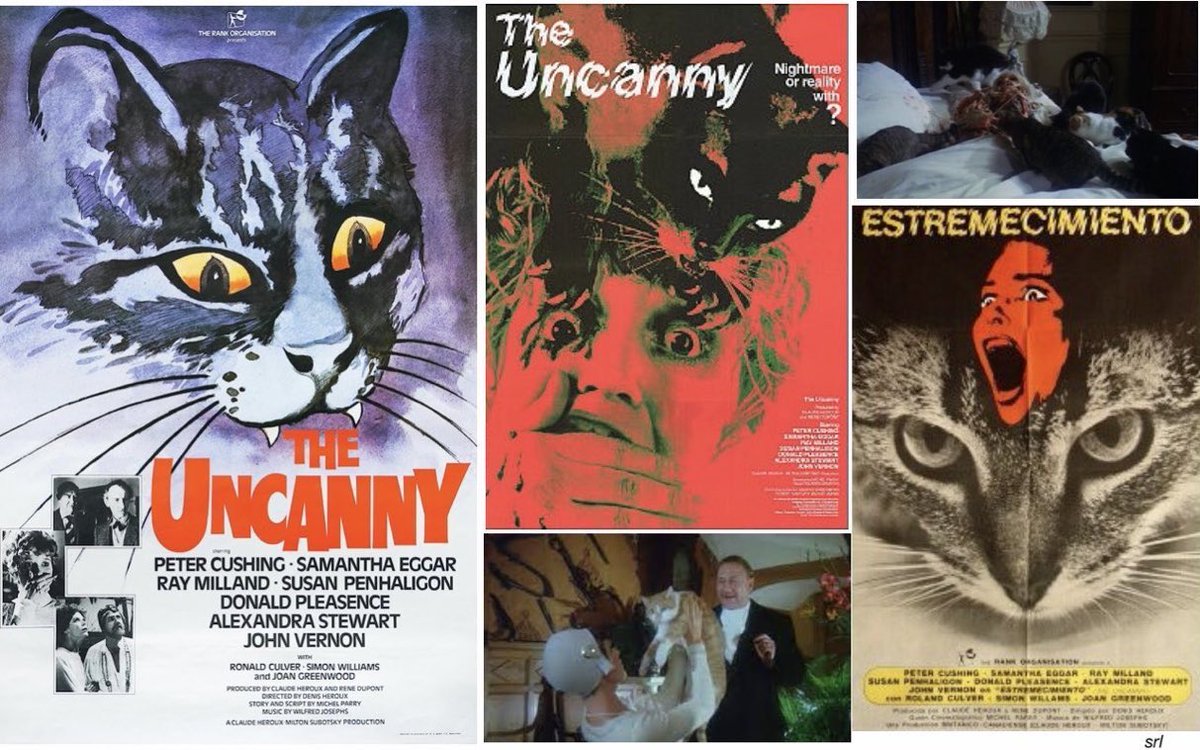 9pm TODAY on #LegendXtra  

The 1977 feline #Horror film🎥 “The Uncanny” directed by #DenisHéroux from a screenplay by #MichelParry

🌟#PeterCushing #RayMilland #SamanthaEggar #JoanGreenwood #DonaldPleasence #DonaldPilon #JohnVernon #SusanPenhaligon