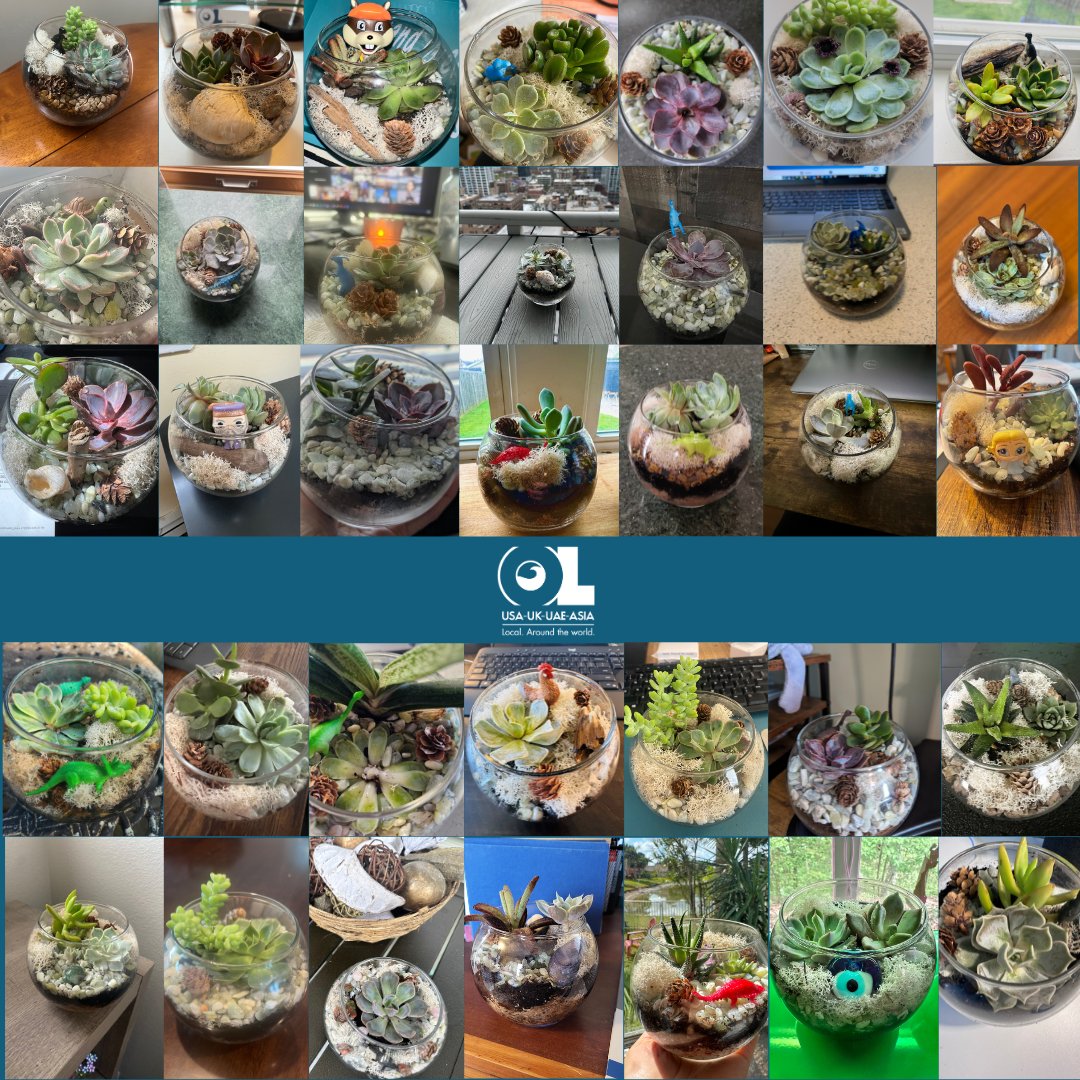 Bringing the green vibes to our virtual office! 🌱

Our #OLTeam came together for a remote event,  getting our hands dirty (virtually, of course!) crafting our own unique terrariums! 

#logistics #shipping #shippingindustry #teamevent #terrariumbuilding #supplychain #OL