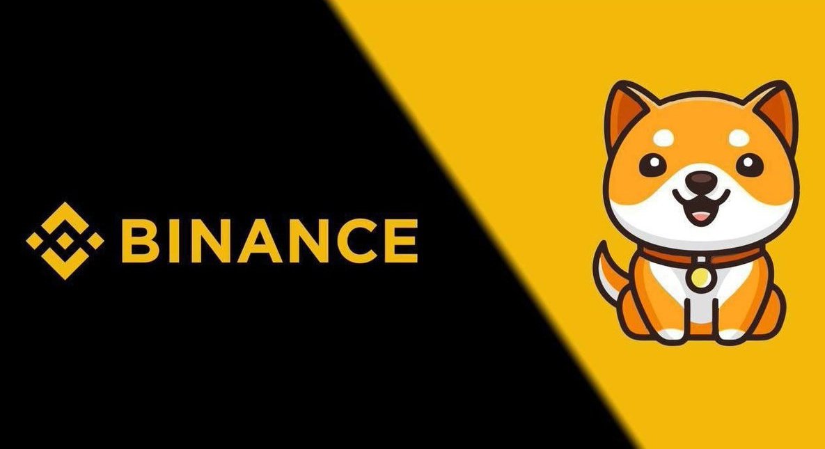 When #Binance  will list #babydoge ?