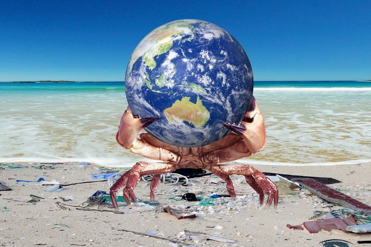 C'mon, please don't be crabby! It's Monday, but it's also #EarthDay. Let's do even more to save the seas, save the trees, save the bees, and save ourselves.

#greenboating #keepourwatersclean #oceanconservation #sustainableboating #protectourwaters #ecomarine #cleanseas