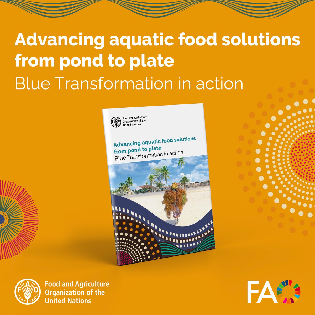 By 2050, #Africa will represent 25% of the global population. #Aquaculture will be key to meeting food needs. These @FAOFish stories show how responsible practices & investments are already making a difference 👉 bit.ly/3Q9Ig5j #BlueTransformation @ #ARC33