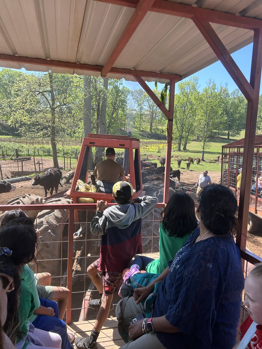 Lauren Slimming tweet media