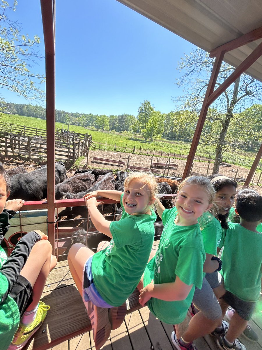 Lauren Slimming tweet media