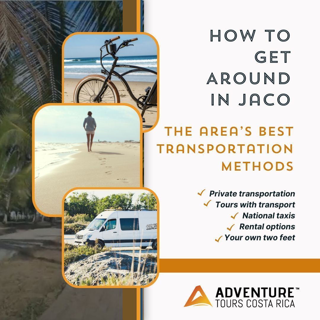 🚶‍♂️Explore Jaco effortlessly!🌴From walking to taxis, discover the best transportation options in town🚐🚲 

Click for guide📖
adventuretourscostarica.com/blog/how-to-ge…

#costarica #transportation #rentalcar #exploringjaco #sunsetstroll #tourvan #privatetransport #gettingaround #beachvibes #jaco