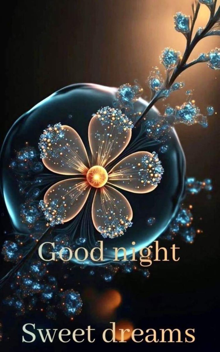 mahaqueen_x's tweet photo. اسلام علیکم 
  ┏━━━━ ﷽ ━━━━┓🌾
  🎑   GOOD  🤲  NiGHT   🎑
 🌾┗━━━━ ﷽ ━━━━┛🌾
🥀🌿 ایکس فیملی🌿🥀   
🌼 بسم الله الرحمن الرحیم  🌼
🍁🍁السلام و علیکم  🍁🍁
⚘️  اِنَّ اللہَ عَلٰی کُلِّ شَیۡءٍ قَدِیۡر⚘️
   بے شک اللہﷻ ہر چیز پر قادر ہے .  🪴 
 🥀 ہمیشہ اللّٰہ کا شکرادا کرتےرہو .🥀