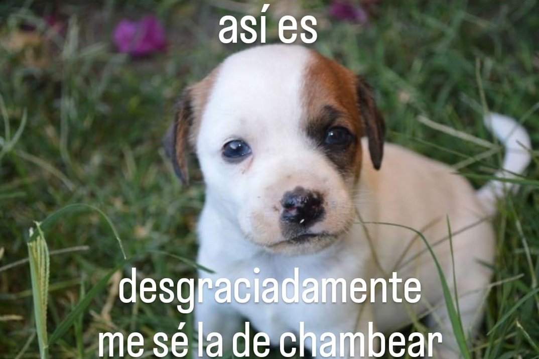 biciclotimia's tweet photo. Yo https://t.co/DMSKTFbLGx