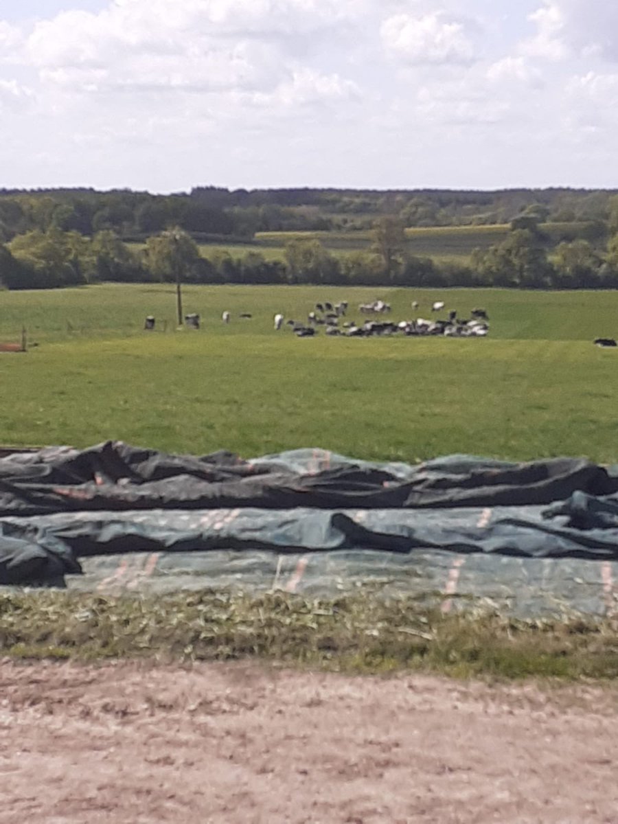 Moment riche entre élus et le monde agricole au Pays d'Ancenis . Le dossier Installation/Transmission nous rassemble. Bravo à ce territoire pour son projet stratégique agricole territorial. Un grand merci pour ces échanges.