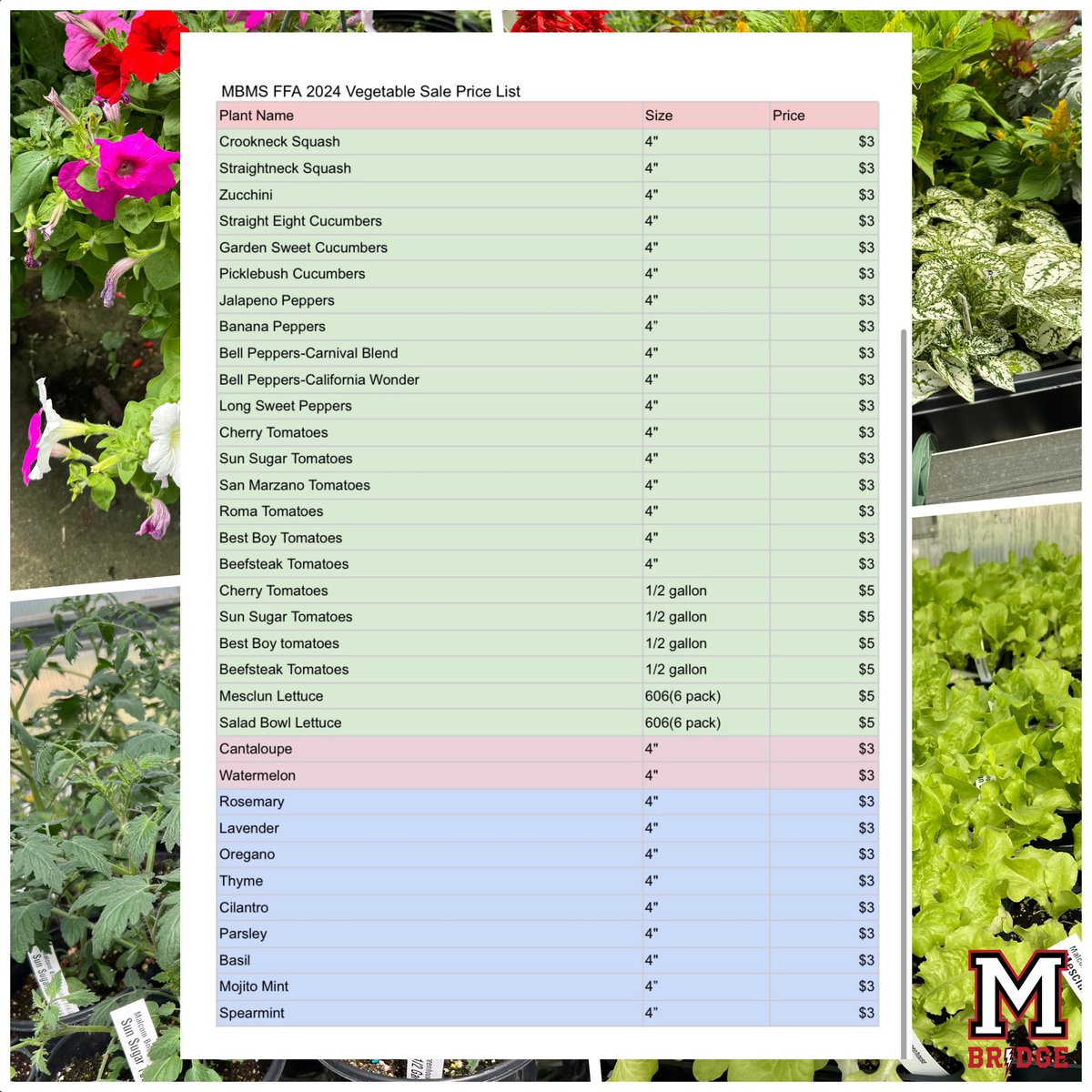 Malcom Bridge Middle tweet media