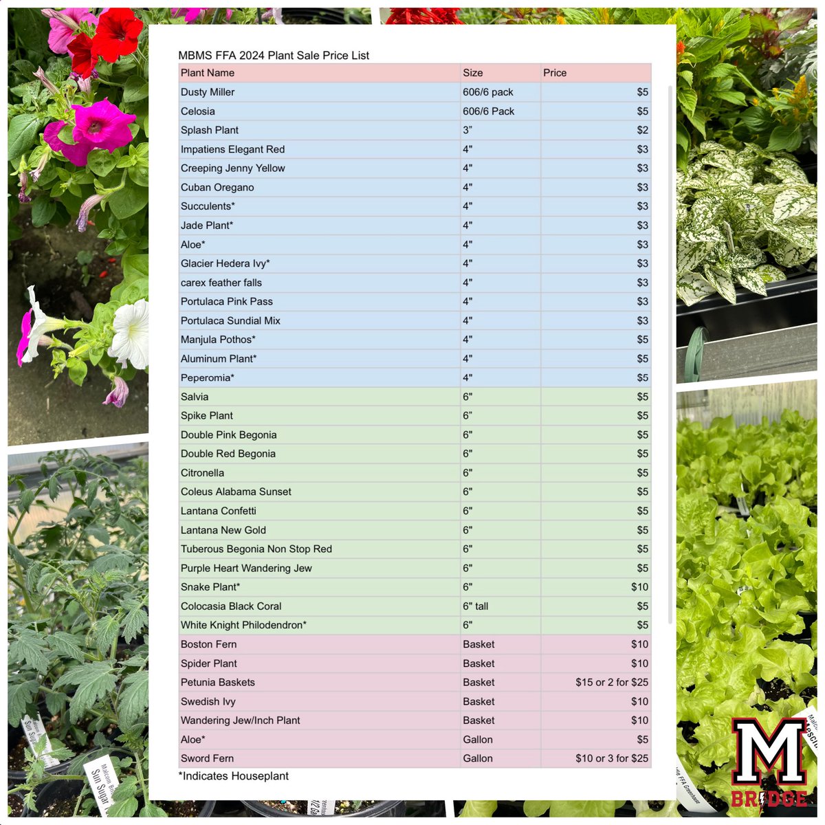 Malcom Bridge Middle tweet media