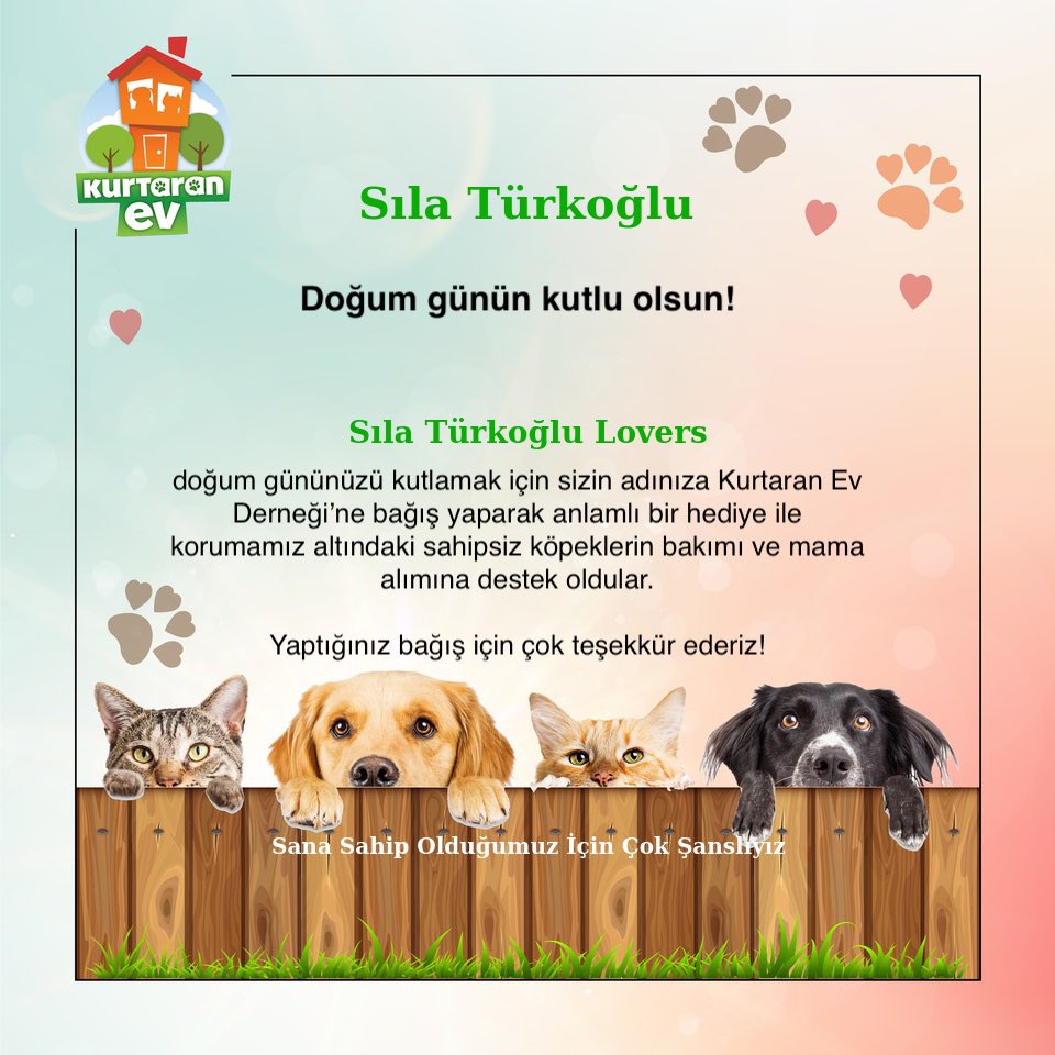 6 🎁 | Hayvanların sizin için çok değerli olması ve onların da yaşam hakkı olması nedeniyle sokak hayvanlarına bakım ve mama sağlamak amacıyla Kurtaran Ev Derneği’e bağışta bulunduk

@kurtaran_ev

#SılaTürkoğlu