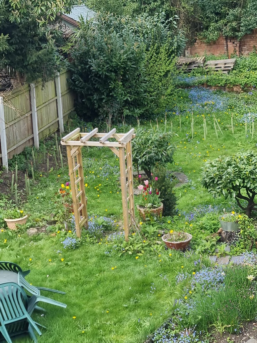 🌿 We're so pleased the garden at Victoria Rd Surgery in Acock's Green is an official part of the NHS Forest. 🌱 Hedges are one of the best ways to increase biodiversity and are wildlife corridors. 💚 In all the team have put in 35 plants to create the hedge.