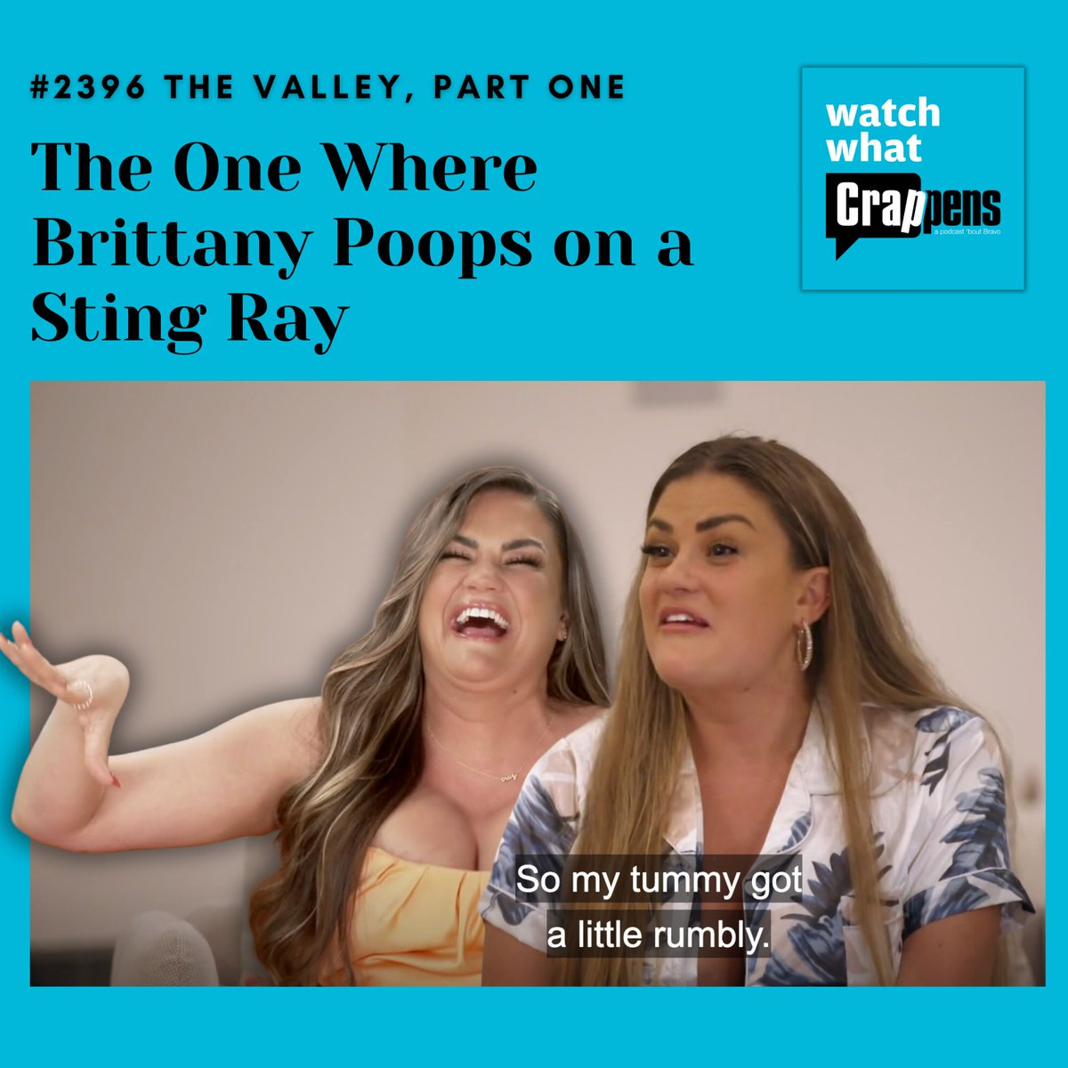 This episode of #TheValley has everything: two crumbling marriages, broken air conditioning, and some deeply traumatized stingrays. This is a two-part recap. Listen wherever you get your Podcasts or watch as a Crappens On Demand Video! #BravoTV @RonnieKaram @BenMandelker