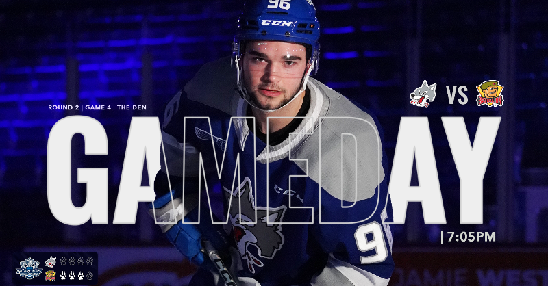 Sudbury_Wolves's tweet photo. It starts with one.
🆚: North Bay Battalion
🕰️: 7 PM
📍: The Den
🎟️: https://t.co/1vVrHrKYAz (Single seat &amp; standing room only)
#PackTheDen | #HowlYeah