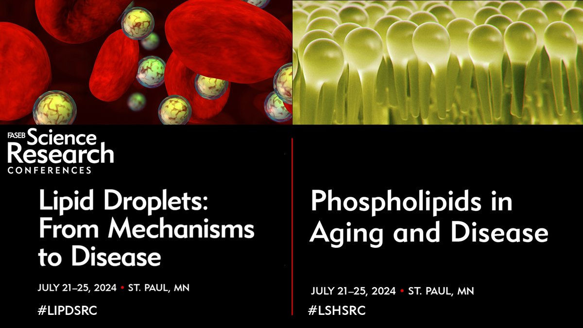 4 amazing keynotes under one roof! Join @ghotamis and @JLS_Lab with organizers @OlzmannLab and @HenneLab for #LIPDSRC plus @AntonellaDeMat4 and @VolkerHaucke with organizers @BrookeEmerling and @sharontooze01 for #LSHSRC. Register for one to attend both: 
hubs.ly/Q02sPfRB0