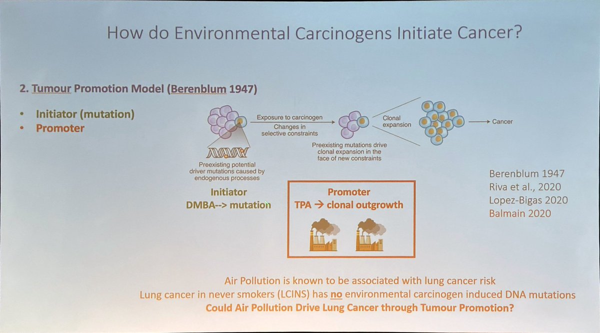 Now underway at #BTOG24 its a huge pleasure to hear Prof @CharlesSwanton from @TheCrick deliver the Keynote Lecture on air pollution and cancer induction Classic cancer induction model may not be relevant but rather the Berenblum model may better describe Induction