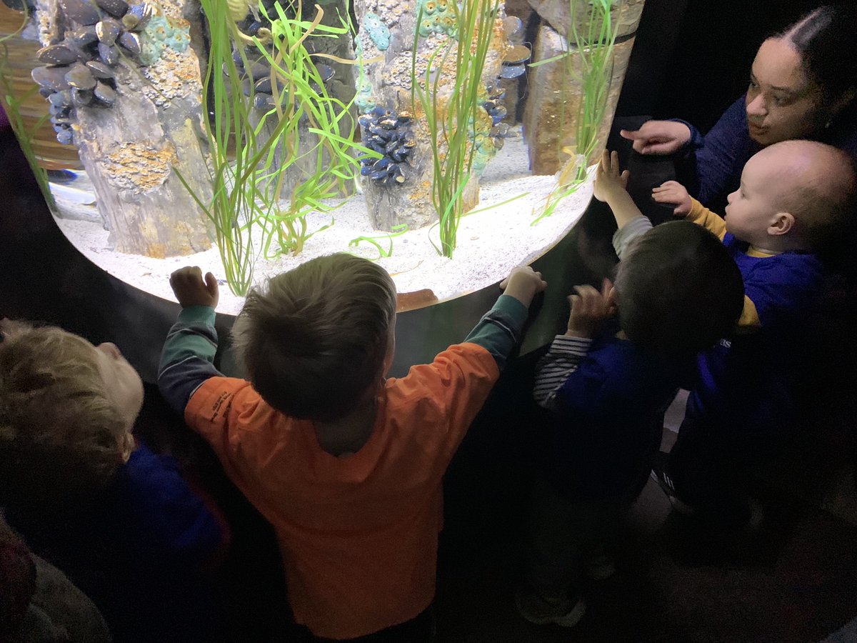 Our Early Ed Infant and Toddler classes took a field trip to the New England Aquarium (@NEAQ)! 🐧🐠🦈 They had so much fun exploring and learning about the wonders of different types of aquatic animals! #WeAreDorchester