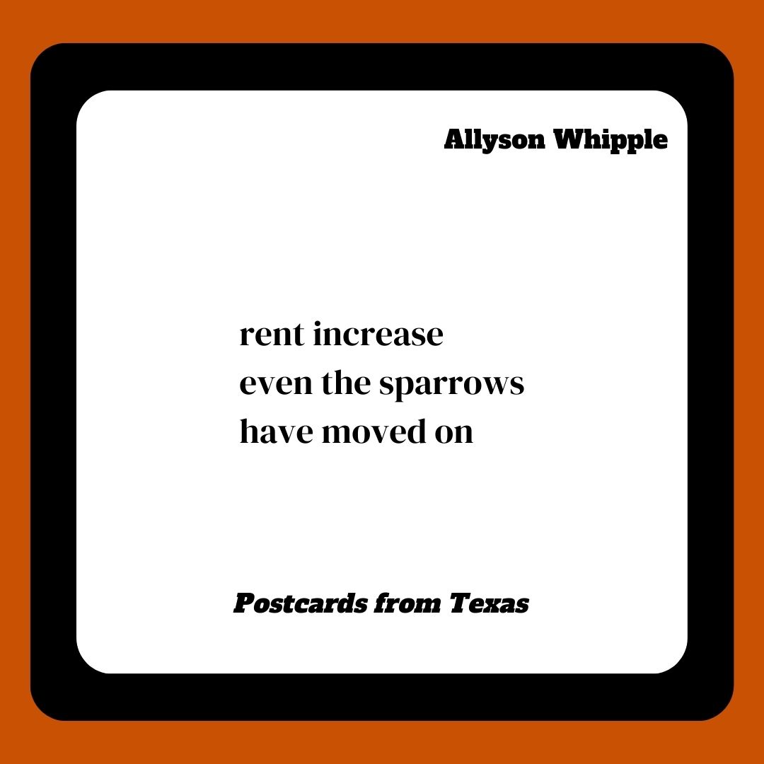 CuttlefishHaiku's tweet photo. A #haiku #postcard from #texas by  @QuatrainQuilts
Order Link in Bio.

Come Swim in Our Waters. https://t.co/c3alllpQIZ