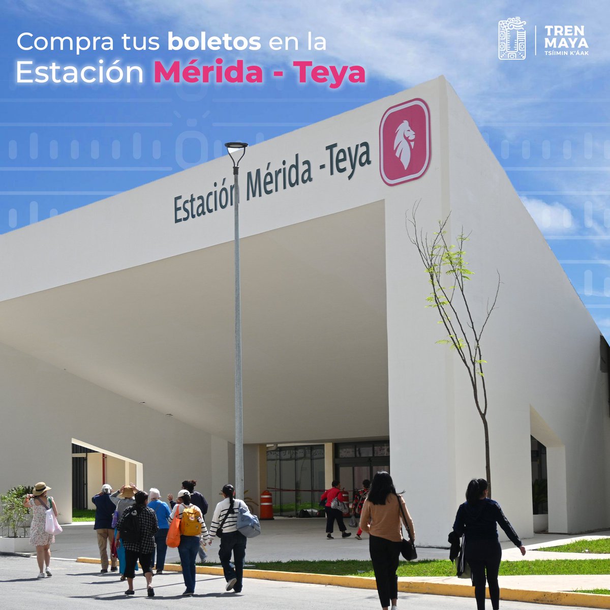 ¡No pierdas la oportunidad de vivir la aventura del Tren Maya! 🚂 Adquiere tus boletos de manera directa en la estación Mérida Teya. ¡Te esperamos para vivir momentos emocionantes y llenos de magia! ✨ #TrenMaya #Mérida 🎟️🌟