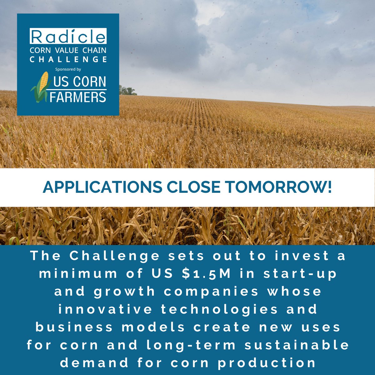 'The Radicle Corn Value Chain Challenge sponsored by US Corn Farmers' APPLY HERE: radicle.vc/the-radicle-co… Deadline to apply: April 19th, 2024. @COgrown @iowa_corn @kscorn @TheRealKyCorn @NationalCorn