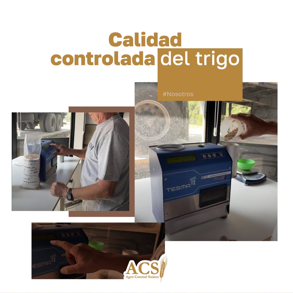 En ACS realizamos mediciones de control de calidad de los granos: humedad y el peso hectolítrico para determinar el grado al que pertenece cada lote. 
 
Este control es clave para determinar las cualidades del grano y la calidad del mismo para ser comercializado. 

Somos ACS.